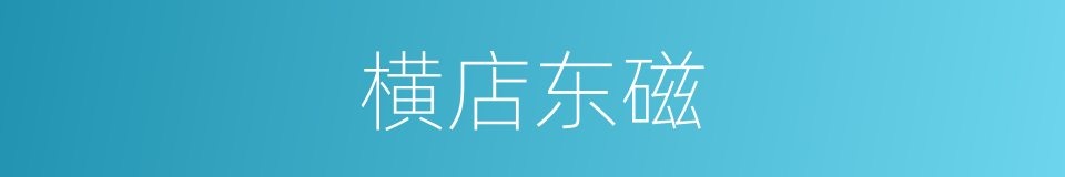 横店东磁的同义词