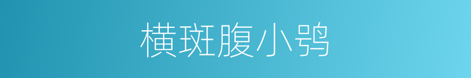 横斑腹小鸮的同义词