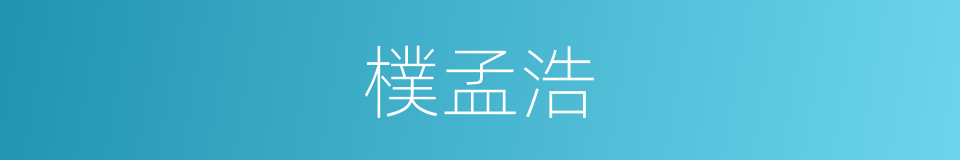 樸孟浩的同義詞