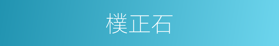 樸正石的同義詞