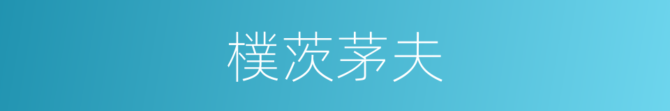 樸茨茅夫的同義詞