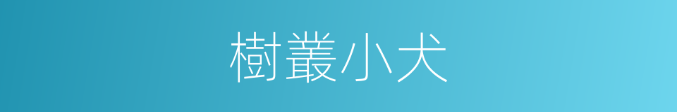 樹叢小犬的同義詞