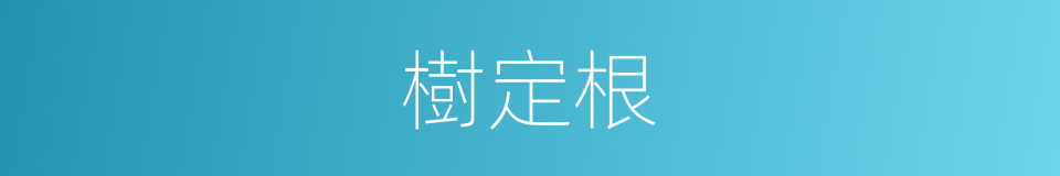 樹定根的同義詞