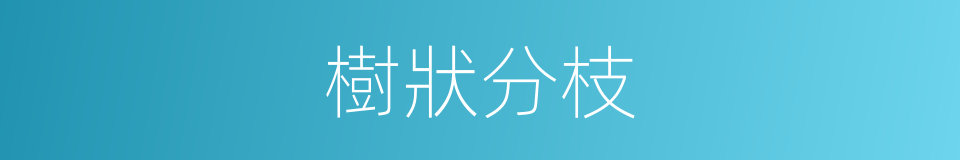 樹狀分枝的同義詞