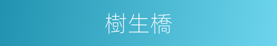 樹生橋的同義詞