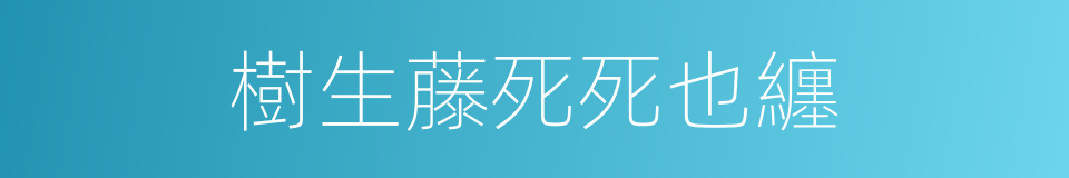 樹生藤死死也纏的同義詞