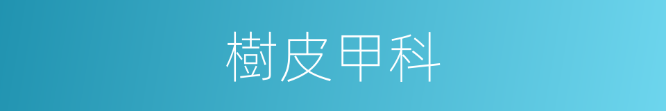 樹皮甲科的同義詞