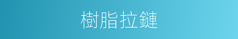 樹脂拉鏈的同義詞