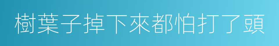 樹葉子掉下來都怕打了頭的意思