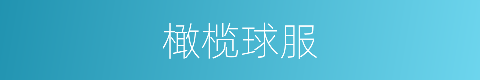 橄榄球服的同义词