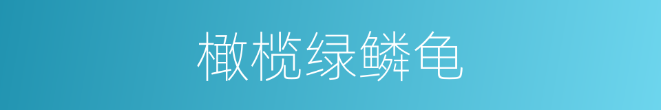 橄榄绿鳞龟的同义词