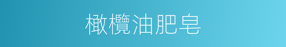 橄欖油肥皂的同義詞