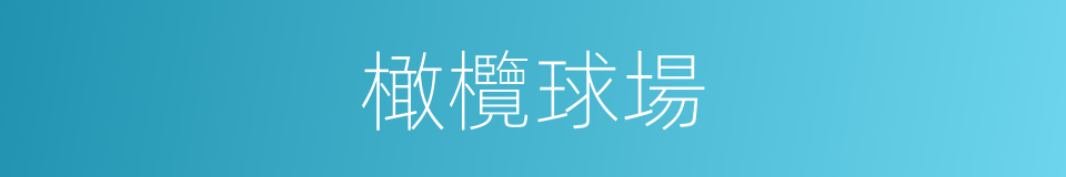 橄欖球場的同義詞