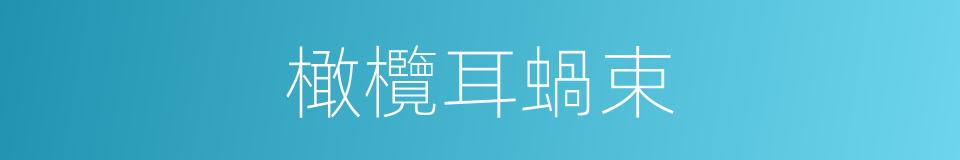 橄欖耳蝸束的同義詞