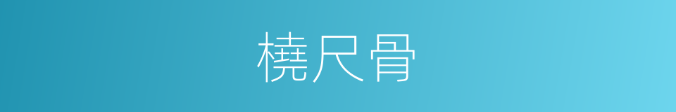 橈尺骨的同義詞