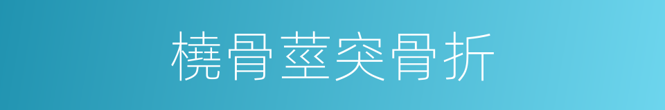 橈骨莖突骨折的同義詞