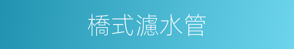 橋式濾水管的同義詞