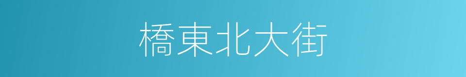 橋東北大街的同義詞