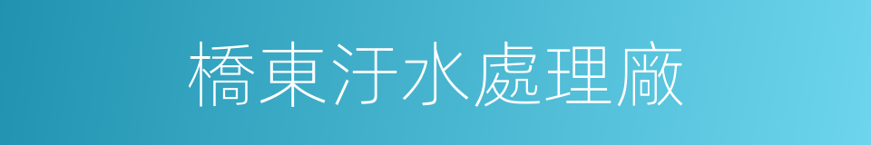 橋東汙水處理廠的同義詞