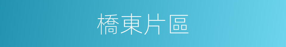 橋東片區的同義詞