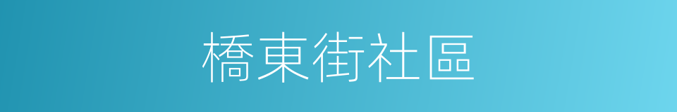 橋東街社區的同義詞