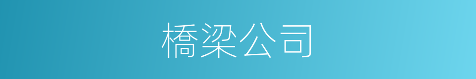 橋梁公司的同義詞