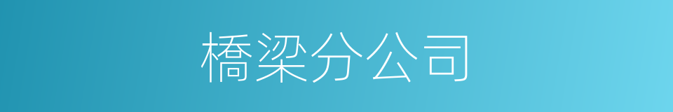 橋梁分公司的同義詞