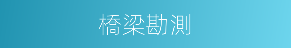 橋梁勘測的同義詞