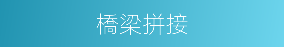 橋梁拼接的同義詞