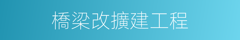 橋梁改擴建工程的同義詞