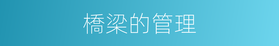 橋梁的管理的同義詞