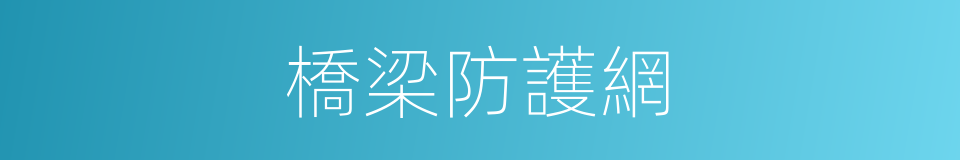 橋梁防護網的同義詞