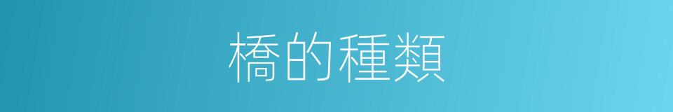橋的種類的同義詞