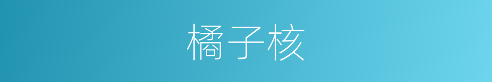 橘子核的同义词