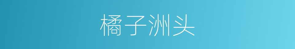 橘子洲头的同义词