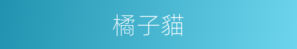 橘子貓的同義詞