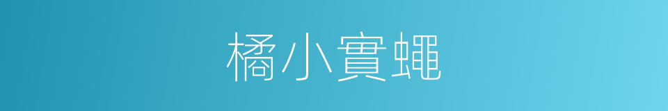 橘小實蠅的同義詞