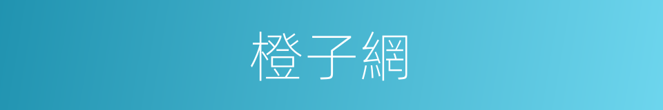 橙子網的同義詞