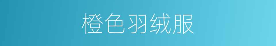 橙色羽绒服的同义词