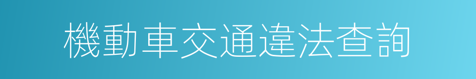 機動車交通違法查詢的同義詞