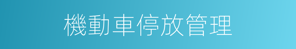 機動車停放管理的同義詞