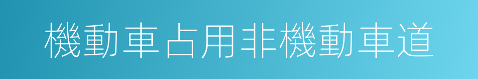 機動車占用非機動車道的同義詞