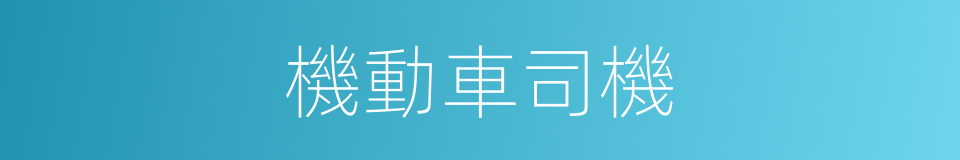 機動車司機的同義詞