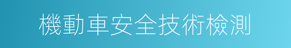 機動車安全技術檢測的同義詞