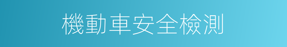 機動車安全檢測的同義詞