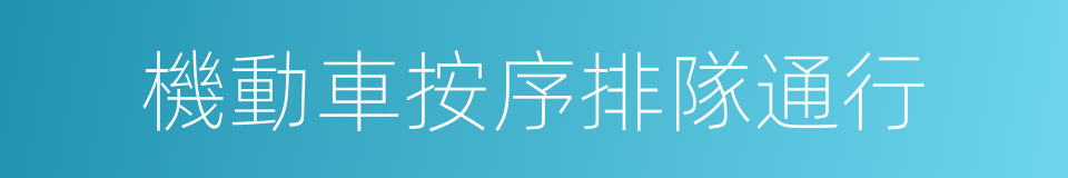 機動車按序排隊通行的同義詞