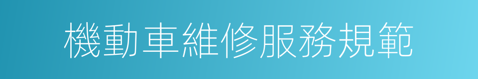 機動車維修服務規範的同義詞