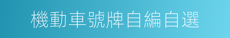 機動車號牌自編自選的同義詞