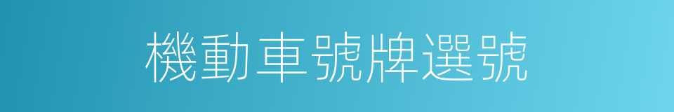 機動車號牌選號的同義詞