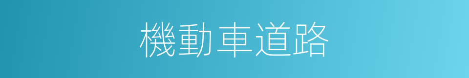 機動車道路的同義詞